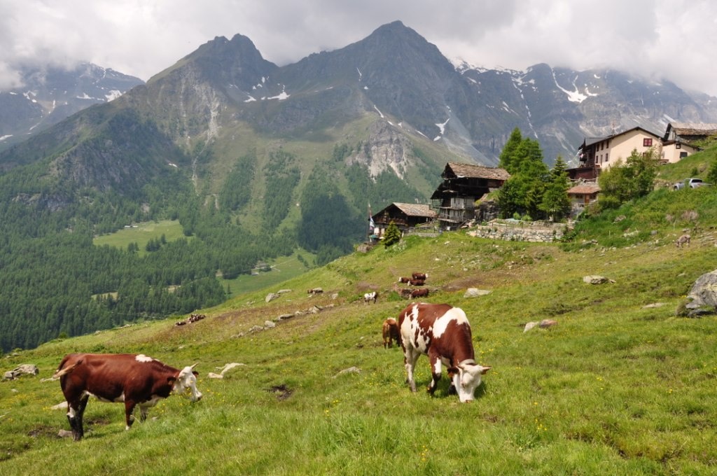 Champoluc